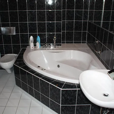 City-hotel 3* Πλάουεν